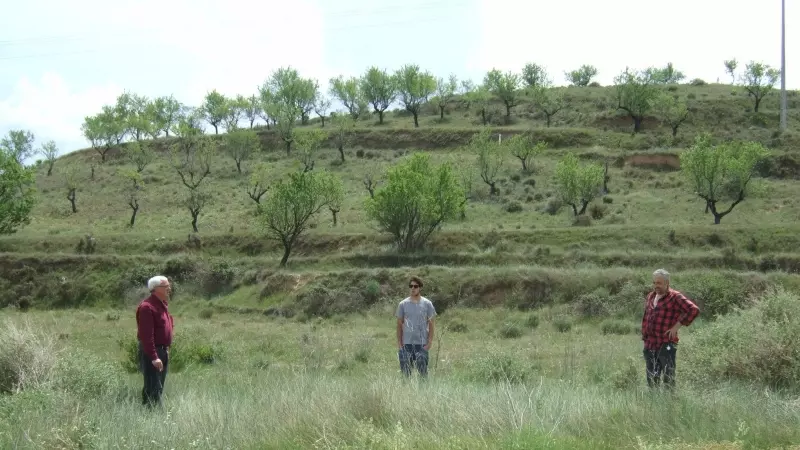 Varias personas observan un terreno situado en Arnedo (La Rioja)