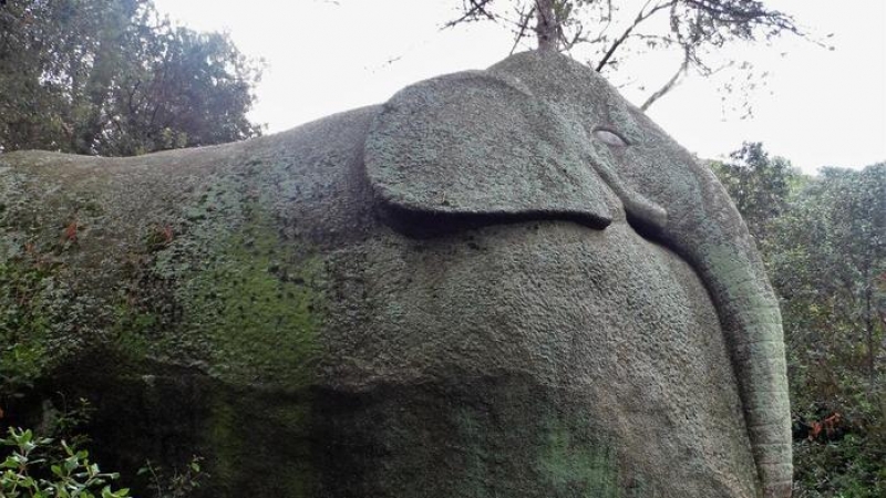Elefant de pedra al bosc de La Roca del Vallès