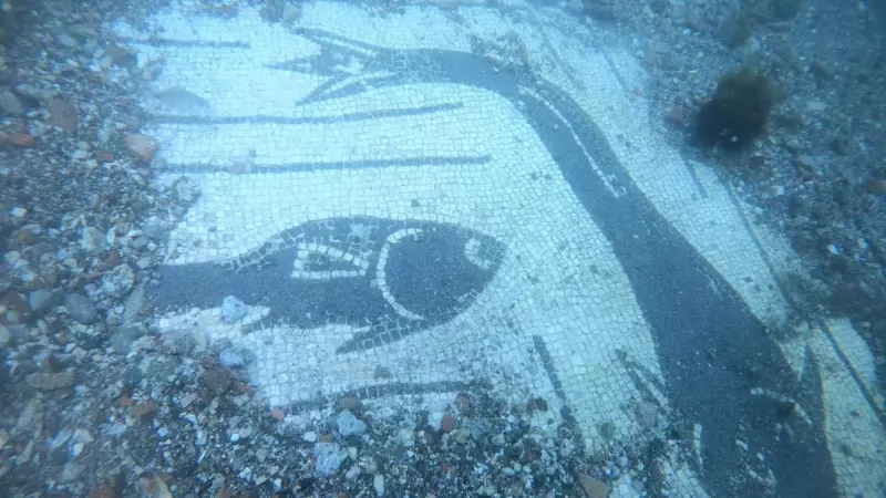 27/06/2023 - Representación de varios peces en forma de mosaico, hallada entre los restos arqueológicos de la ciudad romana de Baia.