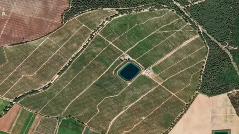 Vista de la finca obtenida del Geoportal de la Confederación Hidrográfica que muestra, con dos puntos azules, los dos únicos pozos que están autorizados