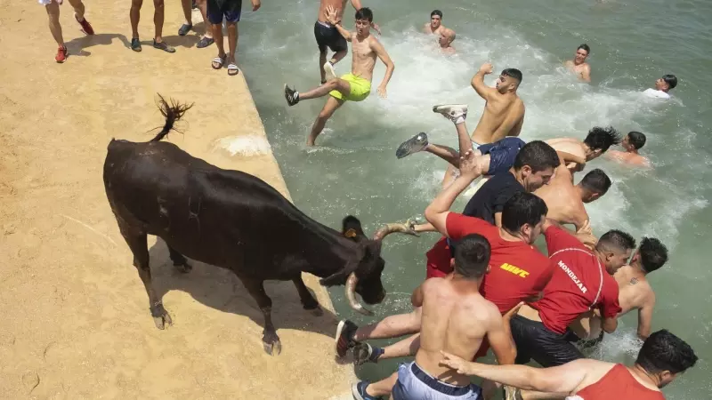 Varias personas saltan al agua durante la celebración en Dénia (Alicante) de su tradicional festejo 'Bous a la mar', a 9 de julio de 2023.