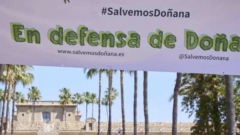 Detalle de la manifestación 'En defensa de Doñana', a 14 de mayo de 2023 en Sevilla (Andalucía).