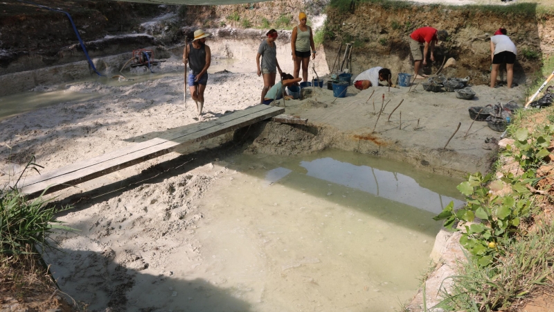 Imatge d'arxiu d'un sector excavat a la Draga de Banyoles l'any 2017