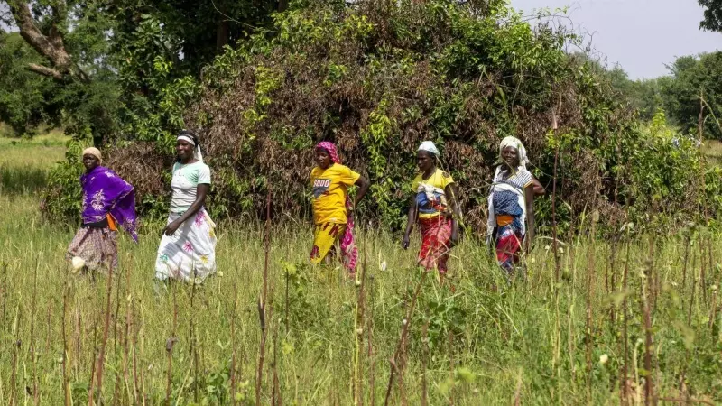 Imagen de archivo de varias mujeres en un campo en Ouahigouya, Burkina Faso, a 16 de enero de 2023.