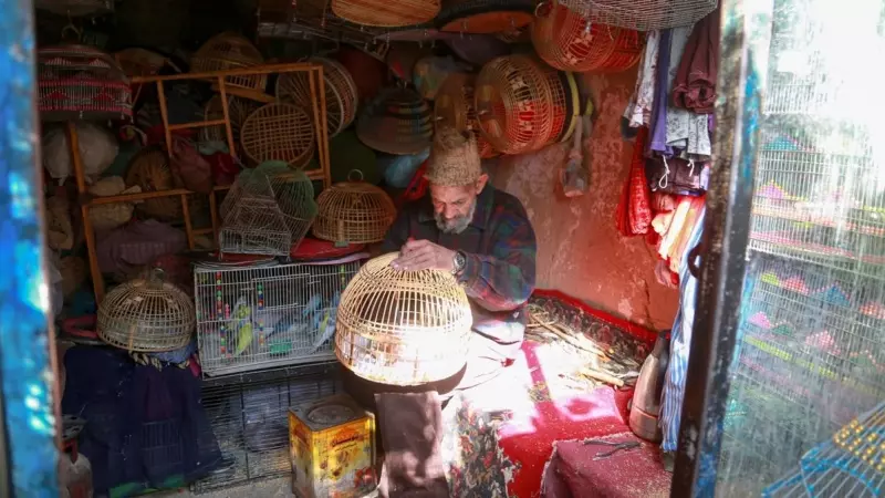 Un hombre vende pájaros en su tienda en Kabul. EFE/EPA/SAMIULLAH POPAL