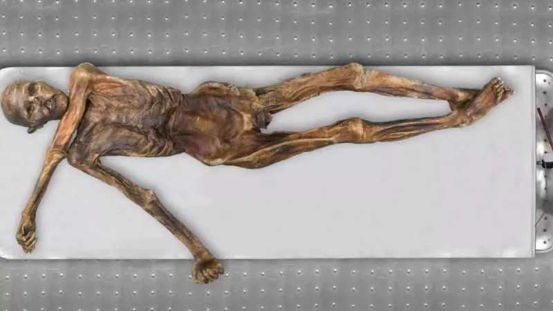 El hombre de hielo del Neolítico tirolés Ötzi, descubierto por unos montañistas en los Alpes en 1991.