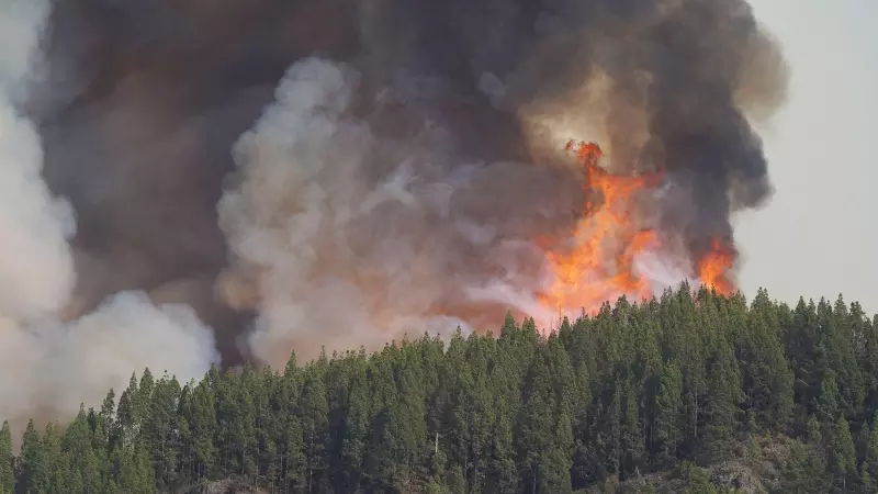 El incendio forestal, a 17 de agosto de 2023, en La Orotava, Tenerife, Islas Canarias (España).