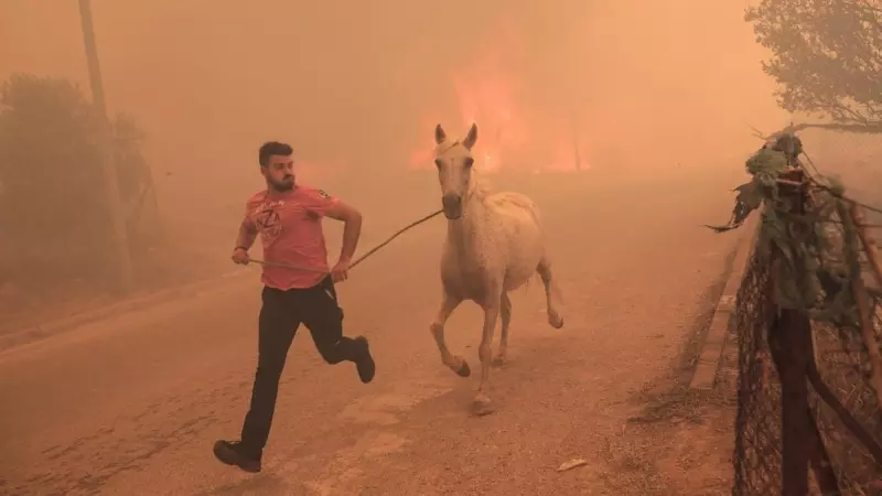 Un ganadero corre para evacuar a uno de sus caballos en medio de un incendio forestal en el área de Fyli, cerca de Atenas, Grecia.