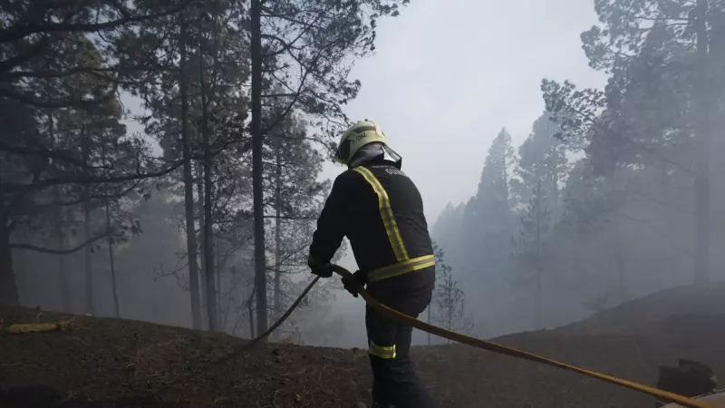 Bomberos de Güímar en el bosque de Las Raíces, hoy martes en el municipio de El Rosario, quemado por el incendio forestal que afecta a la isla de Tenerife.