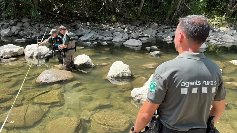 Dos membres del cos d'Agents Rurals mesurant el cabal ecològic del riu Segre