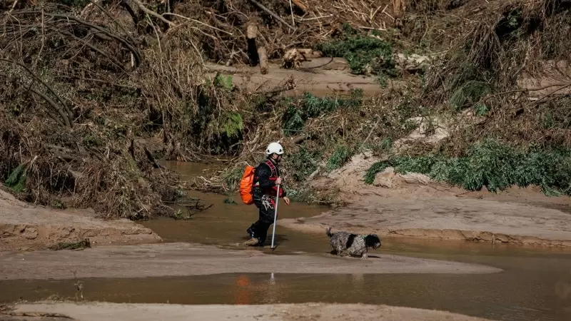 Un hombre trabaja en las labores de limpieza en el río Alberche, a 5 de septiembre de 2023