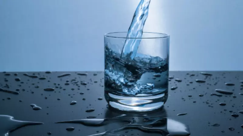 Las mejores ofertas en Filtros de Agua de Plata BRITA