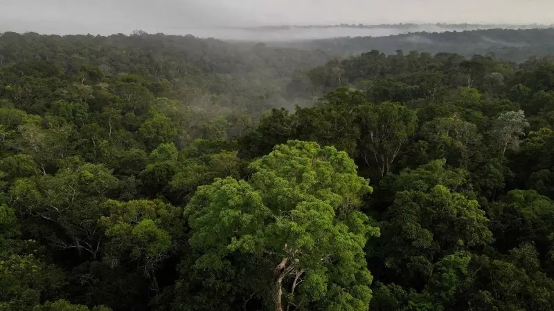 Una vista aérea muestra árboles mientras sale el sol en la selva amazónica en Manaos, estado de Amazonas, Brasil.
