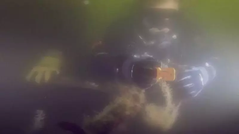 Un grupo de buzos en Nueva York ayuda a limpiar de basura el fondo marino