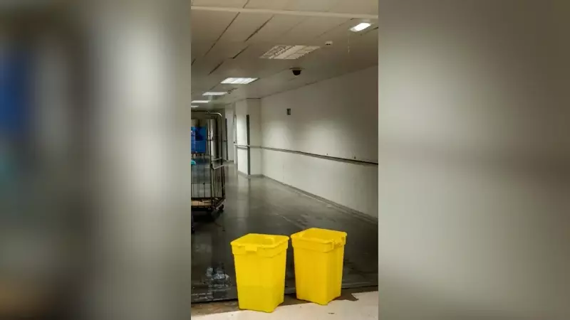 Se inunda el Hospital Infanta Sofía de Madrid: 'Cada año convivimos con cubos de basura para recoger el agua'