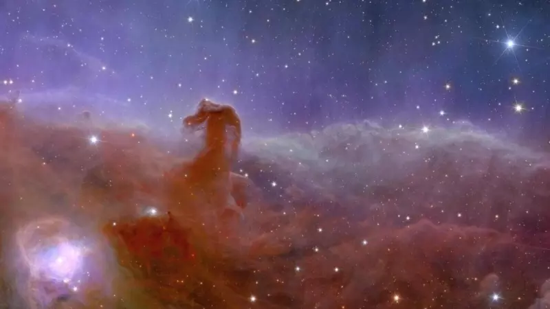 Vista de la misión de Euclides de la 'Nebulosa Cabeza de Caballo'. Agencia Espacial Europea