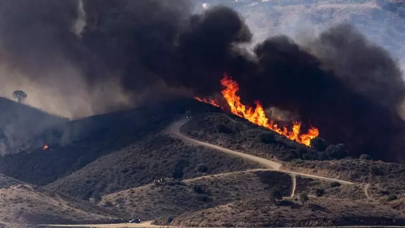Imagen del incendio forestal declarado en un paraje de Mijas (Málaga), a 12 de noviembre de 2023.- Daniel Pérez / EFE