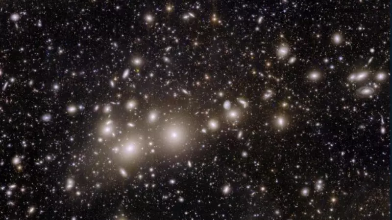 La visión de Euclides del cúmulo de galaxias de Perseo