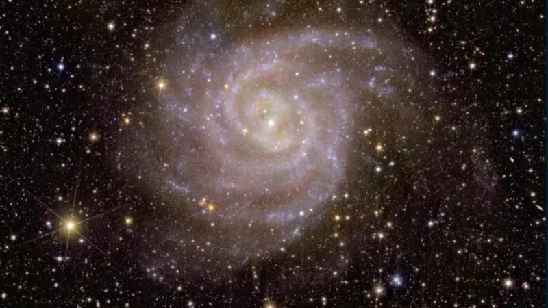 Vista de Euclides de la galaxia espiral IC 342