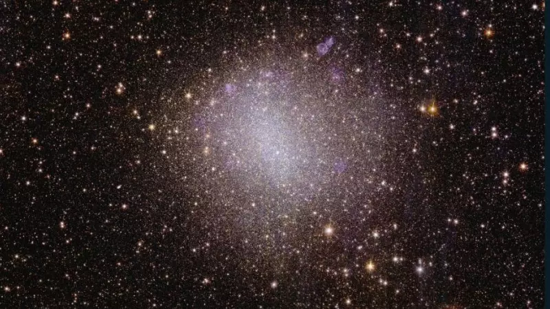 Vista de Euclides de la galaxia irregular NGC 6822