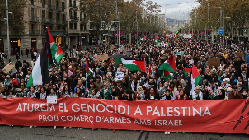 Milers de manifestants donen suport al Poble Palestí.