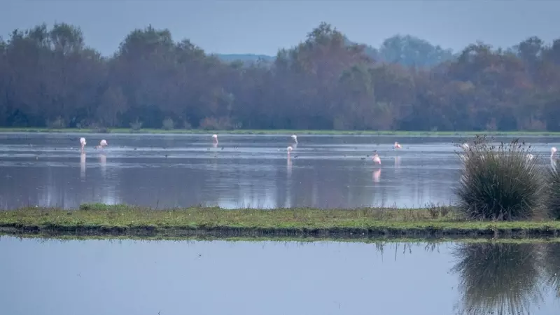 Imágenes del Parque Nacional de Doñana, a 27 de noviembre de 2023, en Almonte, Huelva