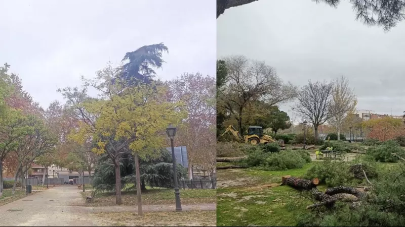 Antes y después de la tala en el parque de Comillas