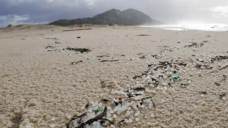 Miles de bolitas de pellets para la fabricación de plásticos, procedentes de un contenedor que cayó al mar desde un barco, esta mañana en la playa de Area Maior.