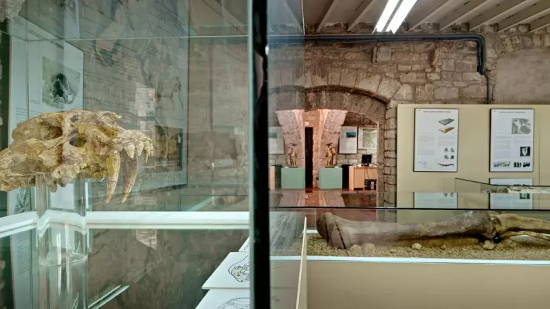 Museu Arqueològic Comarcal de Banyoles