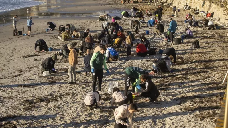 Varios voluntarios recogen pellets en la playa de Panxón, a 11 de enero de 2024, en Pontevedra.