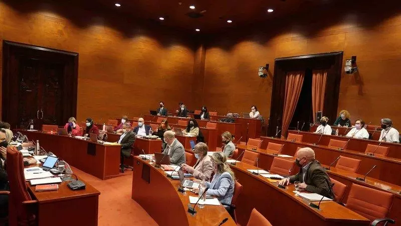 La Comissió de Drets Socials del Parlament.
