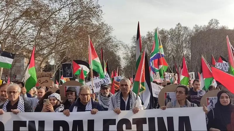 Varios manifestantes en Madrid, a 27 de enero de 2024