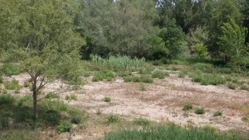 Part del riu Muga sec, al terme de Castelló d'Empúries