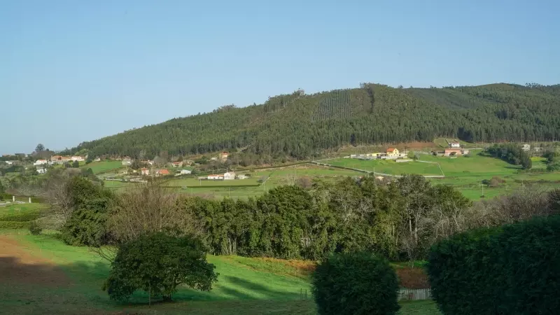 Varias casas del pueblo de Leija, en Ferrol.