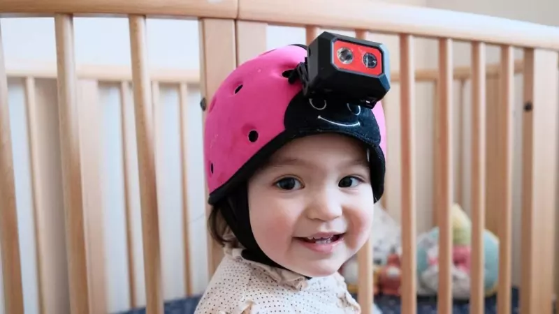 2 de febrero de 2024. La inteligencia artificial aprende sobre lenguaje a través de los ojos y oídos de un niño
