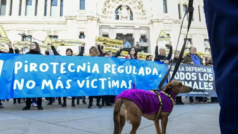 Ecologistas y animalistas se concentran este ante el Ayuntamiento de Madrid para mostrar su oposición a la mascletá organizada junto a la Casa de Campo por el alcalde.