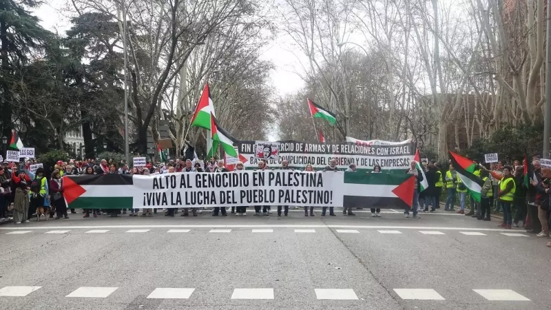 Decenas de personas protestan durante la manifestación contra el genocidio en Palestina, el 25 de febrero de 2024, en Madrid (España).