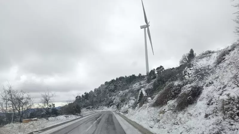 La carretera de Belltall a Forès, enfarinada aquest diumenge.
