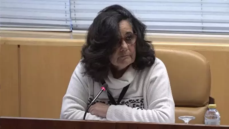 La portavoz de la Asociación por los Derechos de los Mayores y sus Familiares (Ademaf) y de Marea de Residencias, Carmen López, este lunes en la Comisión de Familia y Asuntos Sociales de la Asamblea de Madrid.