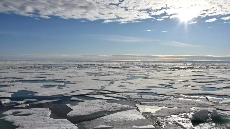 La capa de hielo flota en el agua del Océano Ártico, a16 de agosto de 2015.
