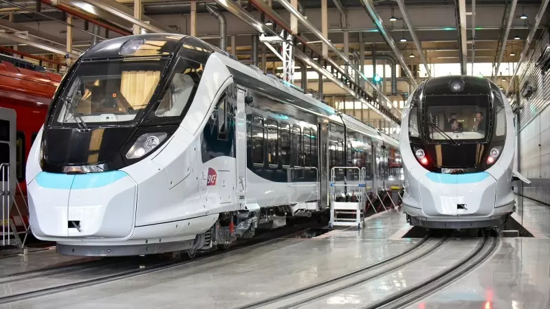 Algunos de los nuevos trenes de ancho métrico de Renfe, en CAF, a 26 de febrero de 2024.