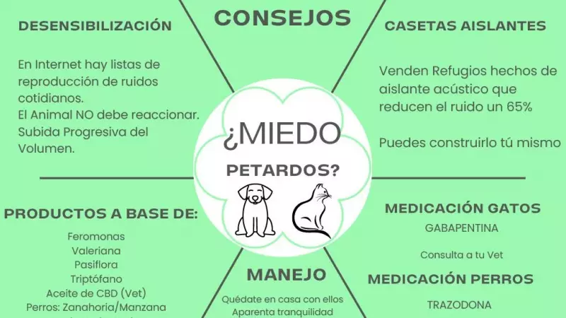 Infografía con los consejos sobre cómo actuar con los animales durante la pirotecnia