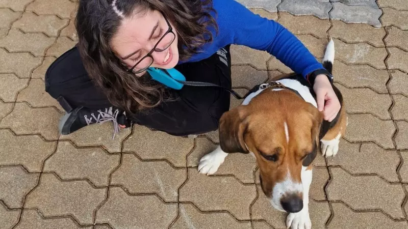 Simba, el perro que con tu ayuda necesita encontrar Paula, una joven de Puertollano afectada por distonía