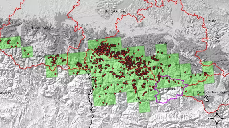 Distribució per quadrícules UTM 10 x10 km de l’os bru als Pirineus, en 2023