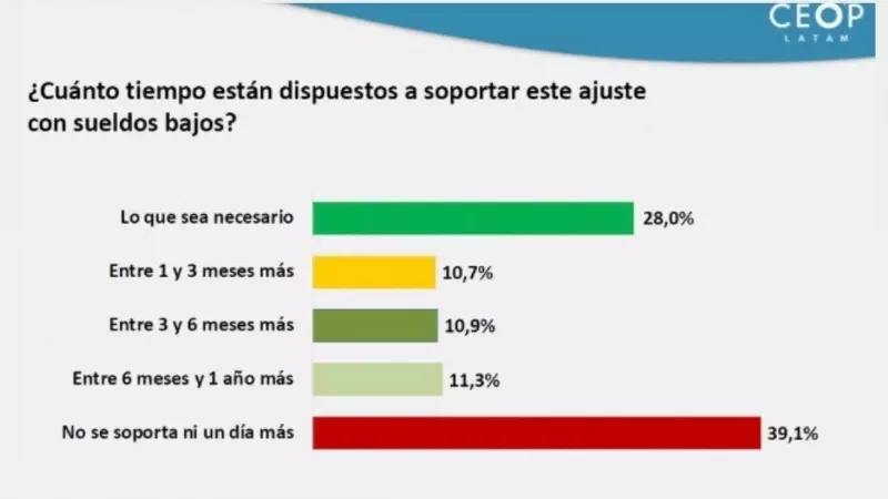 Estudio del CEOP para Página 12