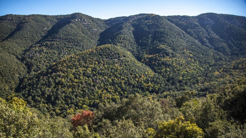Espai Natural Protegit de les Muntanyes de Prades