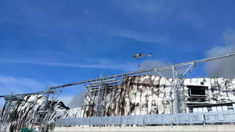 Alrededor de 600.000 gallinas han muerto en el incendio que ha calcinado tres naves de una granja en la provincia de Cuenca