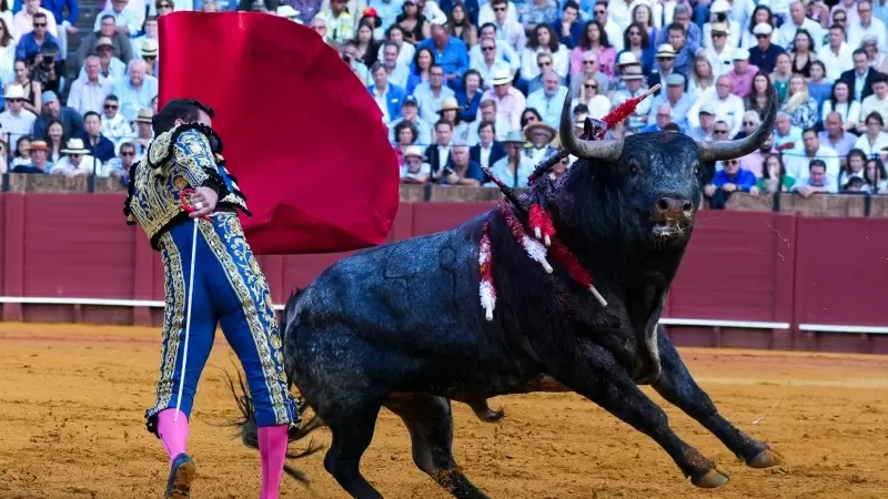 El torero David Fandila 'El Fandi' tortura un animal hasta su extenuación en Sevilla, a 21 de abril de 2024.