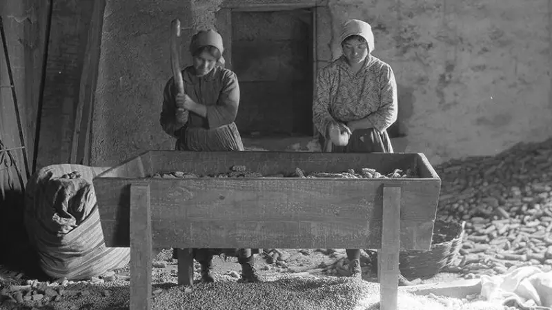 6/4/24 Dos mujeres 'mallan' el maíz en Oca (A Coruña, 1924).