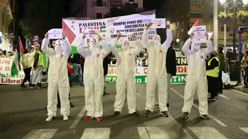 Varias personas disfrazadas y con carteles, durante una manifestación en apoyo a Palestina, a 29 de noviembre de 2023.